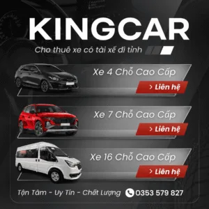 BANNER KINGCAR MIN02